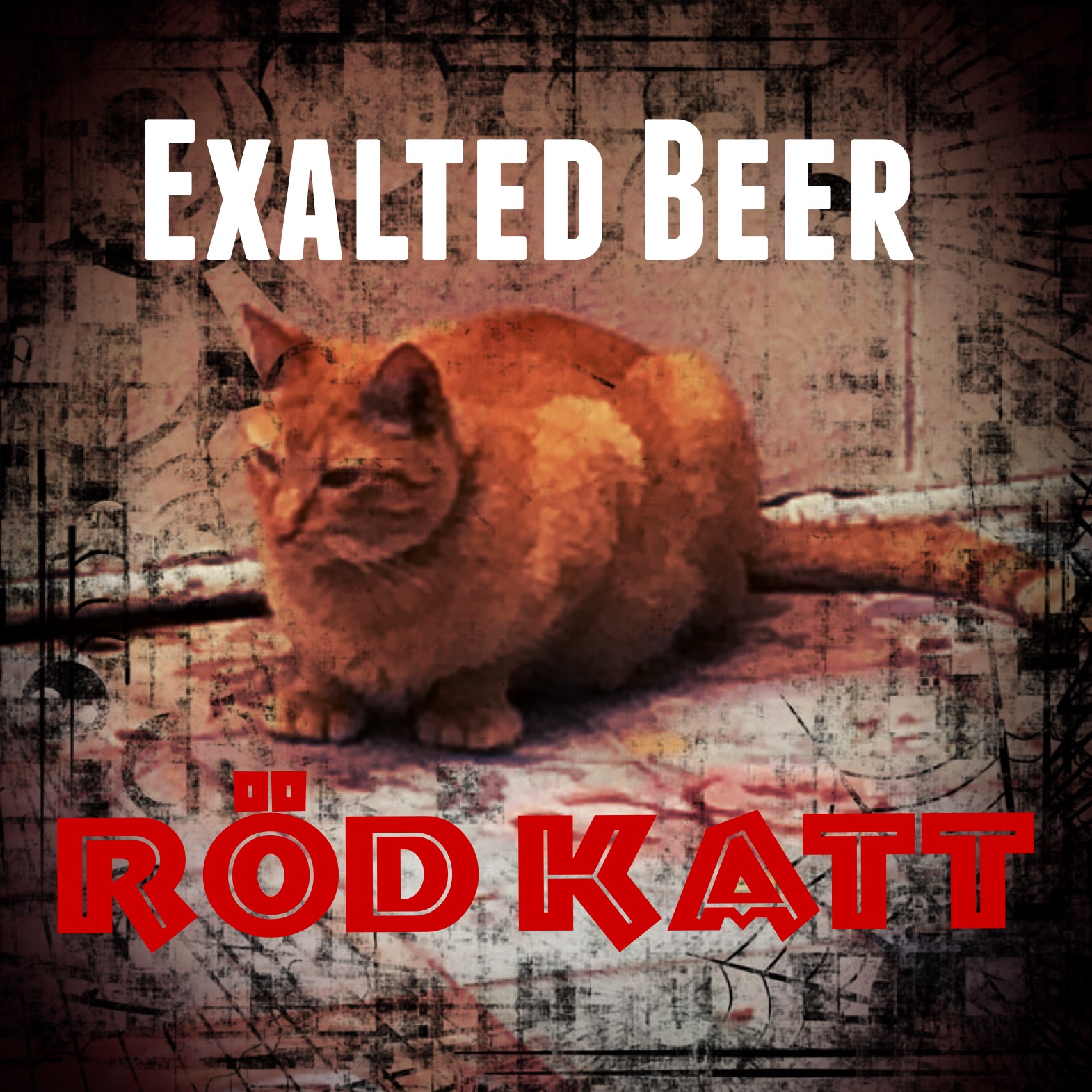 Röd Katt