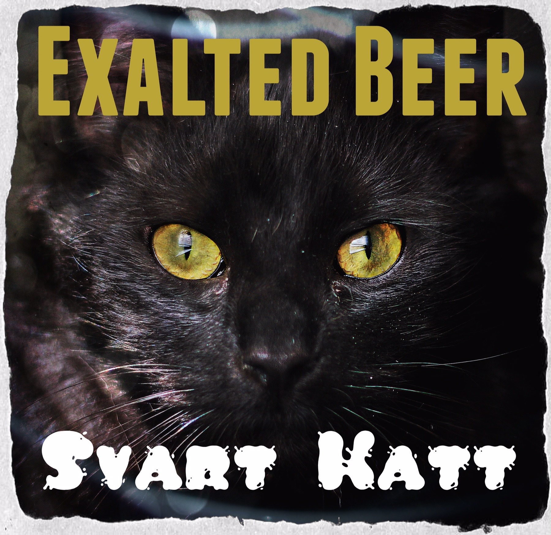 Svart Katt